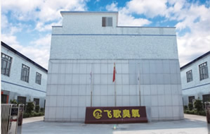 �C(j��)���˾S��